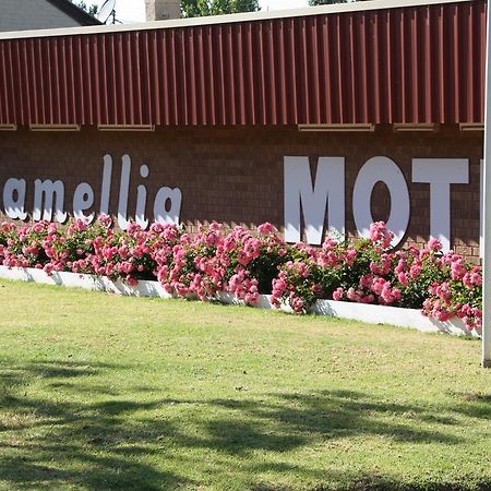 Camellia Motel Наррандера Экстерьер фото