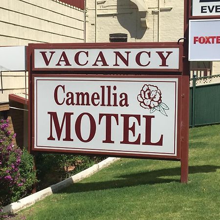 Camellia Motel Наррандера Экстерьер фото