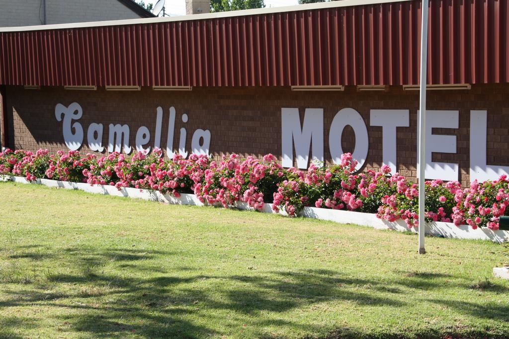 Camellia Motel Наррандера Экстерьер фото