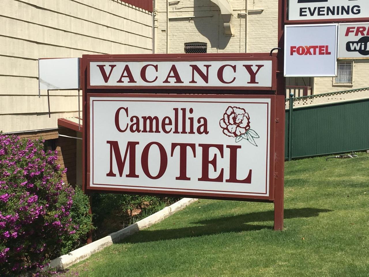 Camellia Motel Наррандера Экстерьер фото